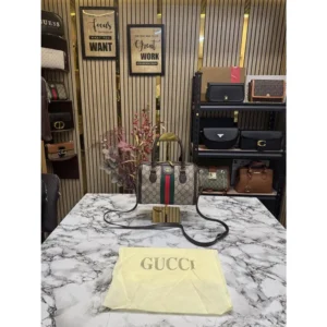 Stylish Gucci Handbag For Women (BOT1817) - stayhit.in