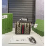 Stylish Gucci Ophidia Tote Bag For Women (BSF883) - stayhit.in