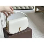 Stylish YSL Handbag For Women (LAB2765) - stayhit.in