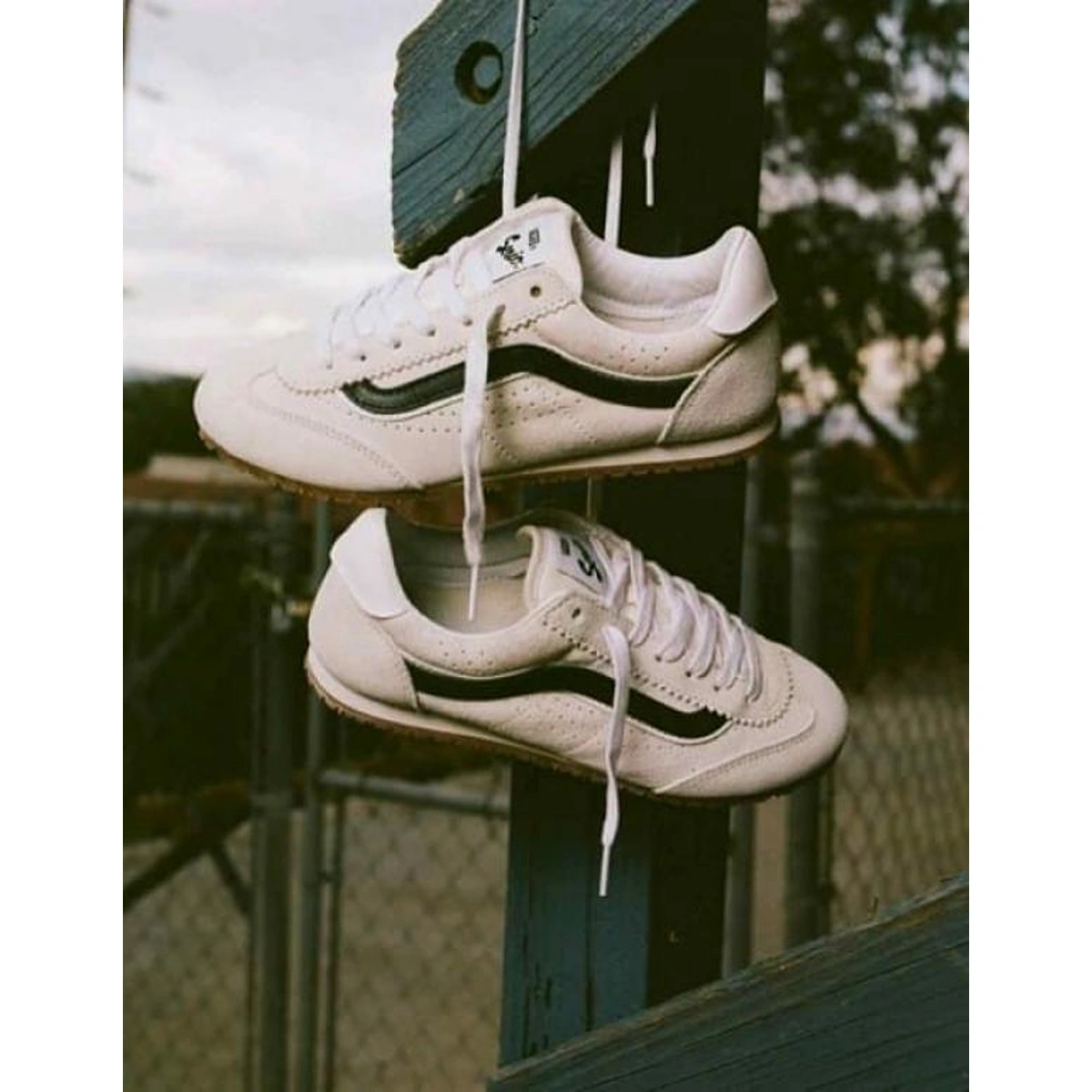 Imported Vans Super Low Shoes White For Men (SUP3085) - stayhit.in Imported Vans Super Low Shoes White For Men (SUP3085) - stayhit.in