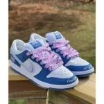 Premium Nike Sb Dunk Low Shoes Born Raised For Men (SUP1333) - stayhit.in