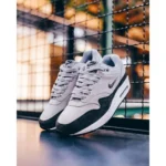Stylish Nike Air Max 1 Shoes Sc Wolf Grey Metallic For Men (SUP3239) - stayhit.in
