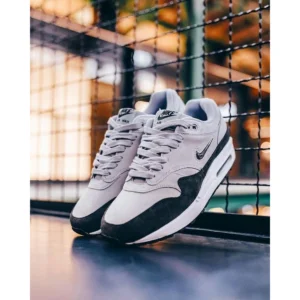 Stylish Nike Air Max 1 Shoes Sc Wolf Grey Metallic For Men (SUP3239) - stayhit.in