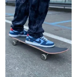 Stylish Nike Sb Dunk Low Shoes For Men (SUP1375) - stayhit.in