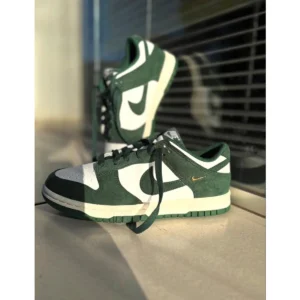 Stylish Nike Sb Dunk Low Shoes Gorge Green Mini Swoosh For Men (SUP1701) - stayhit.in