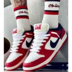 Stylish Nike Sb Dunk Low Shoes Pack Chicago For Men (SUP3259) - stayhit.in