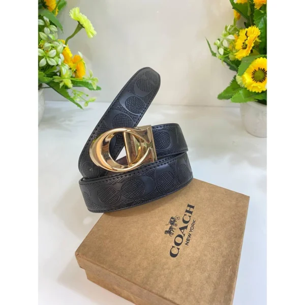 Premium Coach Belt With Og Box For Men (DW134) - stayhit.in