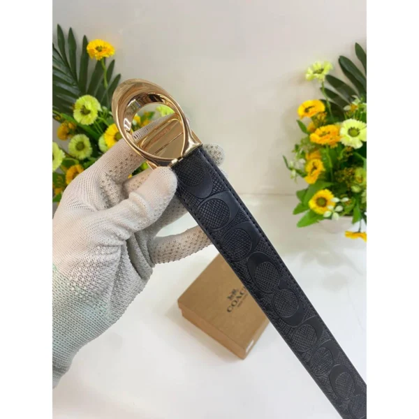 Premium Coach Belt With Og Box For Men (DW134) - stayhit.in