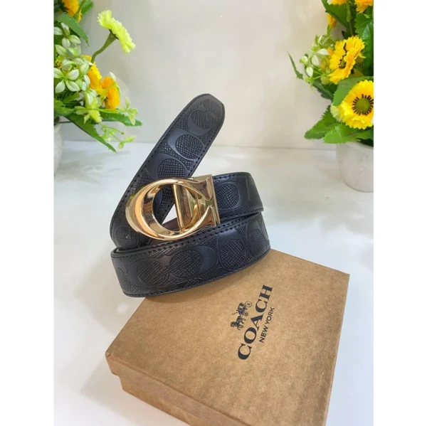 Premium Coach Belt With Og Box For Men (DW278) - stayhit.in
