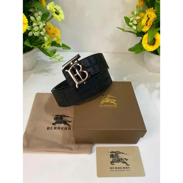 Stylish Burberry Belt With Og Box For Men (BT201) - stayhit.in