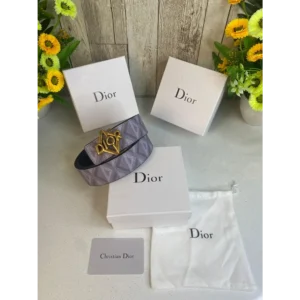 Stylish Dior Belt For Men (SUP794) - stayhit.in